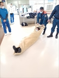 画像の説明