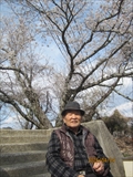 画像の説明