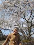 画像の説明